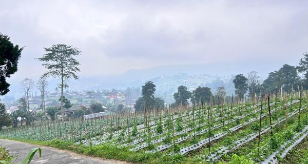 Tanah 1068m² View Cantik Tanpa Halang Ngargoyoso