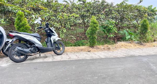Tanah 350 Juta Strategis Bangun Villa Ngargoyoso 