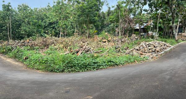 Tanah Hook Datar 987m² Utara Kecamatan Kerjo, Karanganyar 