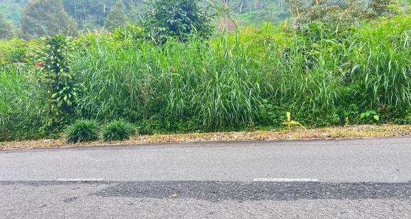 Tanah 3000m² Tepi Jl Raya Kemuning Siap Buka Usaha