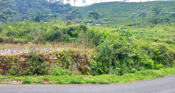 Strategis Tepi Jl Raya 498m View Kebun Teh Kemuning 