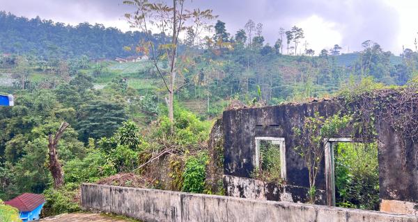 Tanah 800m² View Perkebunan Teh Karanganyar 