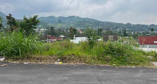 Tanah Udara Dingin 1000m Kemuning, Karanganyar 