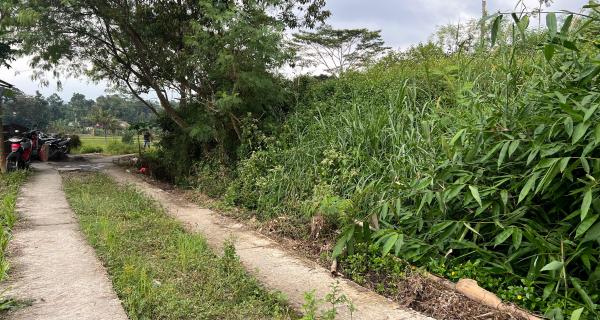  Sawah Subur 5000m² Karangpandan Karanganyar 