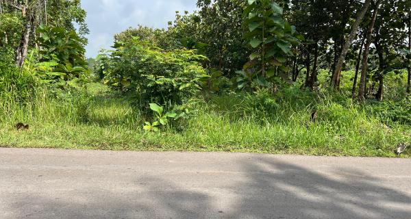 Tanah Datar Untuk Gudang 1000m² Tepi Jl Raya Kerjo – Sragen 