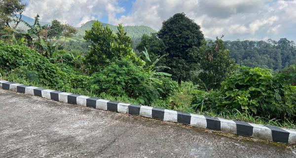 Dijual tanah udara dingin siap bangun villa, homestay dll 