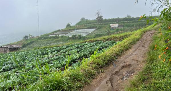 Tanah Wisata Kemuning 1000m View Istimewa 