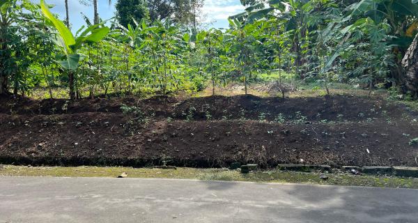 Tanah Super Datar HOOK 1302m Utara Koramil Kerjo, Karanganyar