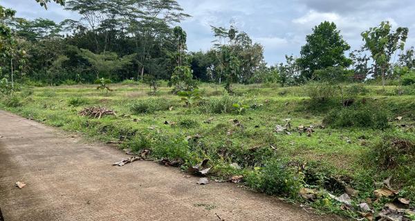 Tanah Super Datar Untuk Gudang 8285m Karanganyar Utara 