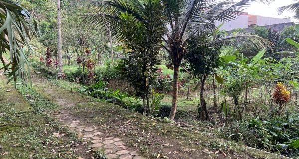 Tanah 220 Juta Cocok Untuk Villa Tawangmangu 