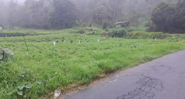 Tanah 825m² Strategis Tepi Jl Tawangmangu Karanganyar 