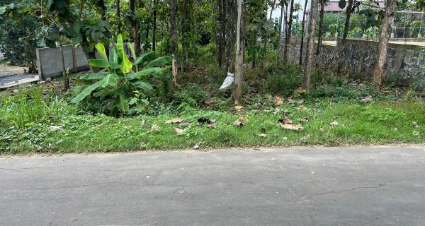 Tanah Super Datar 700m 225Jt Kedawung Sragen 