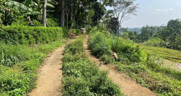 Tanah Subur 4000m² Udara Dingin Karangpandan 