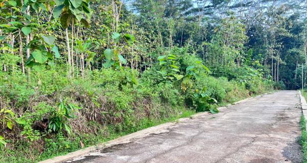 Tanah 2050m² Siap Bangun Utara Pasar Mojogedang 