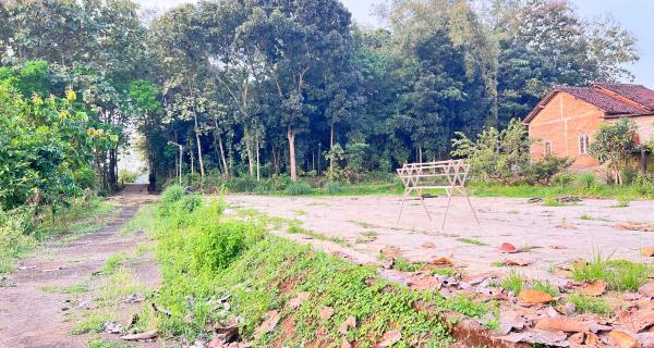 Tanah Super Datar 2000m Barat Pasar Mojogedang 