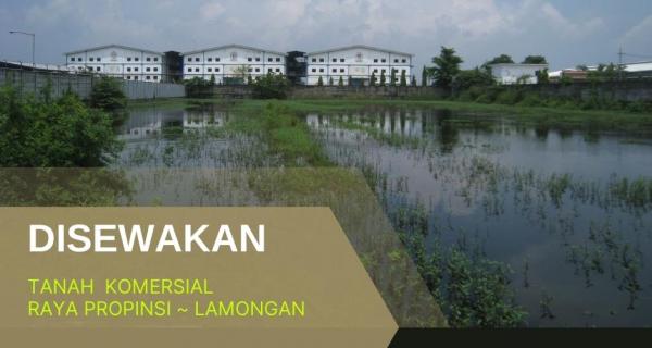 Tanah Komersial Rejosari, Lamongan | 0 Jalan Propinsi, Strategis.