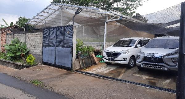 DIJUAL USAHA HIDROPONIK YANG SUDAH JALAN DI MOJAN JEMBER