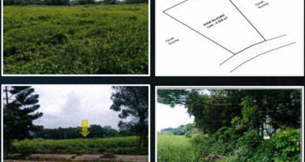 Jual Tanah Kosong di Jababeka Golf, Cikarang, Bekasi