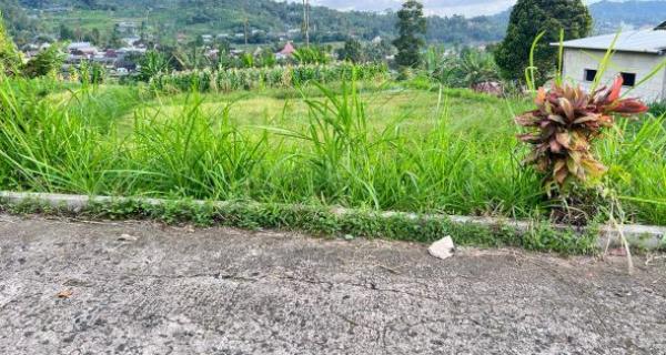 Tanah View Tanpa Terhalang 852m² Karangpandan 