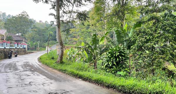 Tanah 250 Juta Strategis Bangun Café Kemuning 