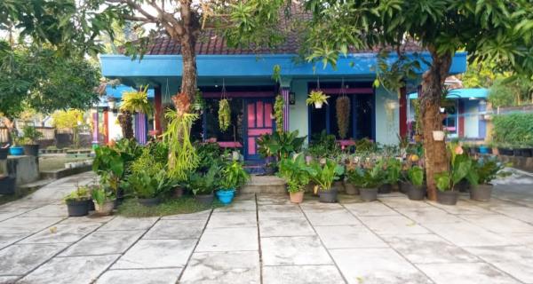 dijual tanah bonus rumah daerah wisata gunungkidul