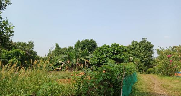 Tanah 3600 m2 murah di Jatimulya Depok