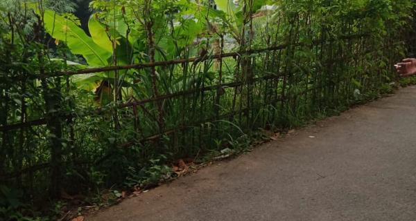 Jual tanah murah di Pondok Rajeg Cibinong