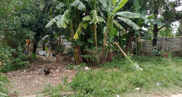 Tanah 300 m2 murah di Jatimulya Depok