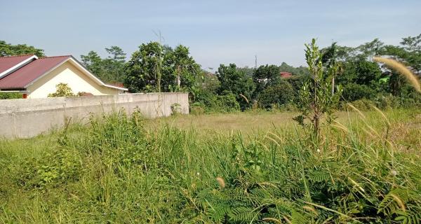 Tanah Kavling BRI 520 m2 dekat Perkantoran Pemda Depok