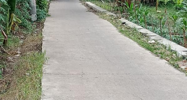 Dijual tanah dekat pasar pucung bagus untuk hunian