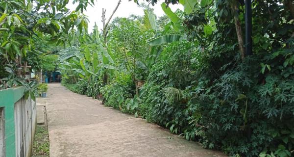 Tanah Kavling 100 m2 Pondok Rajeg Cibinong dekat Depok