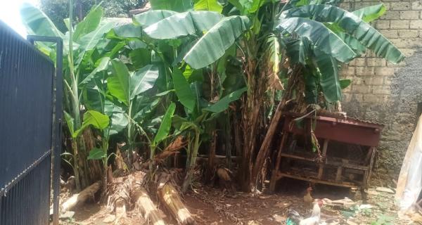 Tanah 140 m2 di Kalibaru Depok sudah tembok keliling