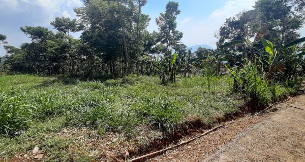 TANAH DI TANJUNGSARI SUMEDANG
