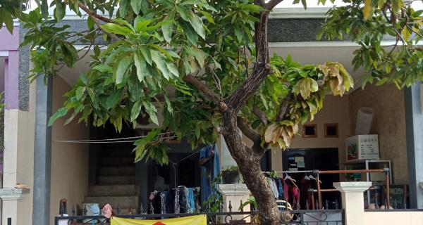 Rumah Minimalis Murah, Lantai 2 sudah di dak Full Hunian Strategis Bekasi Utara
