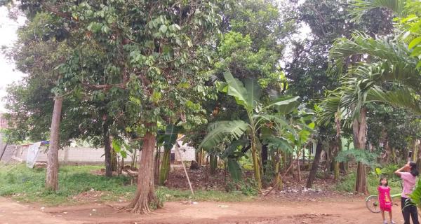 Tanah Dijual Murah Dekat Jl. Mercedes Benz dan Pintu Tol Cimanggis-Cikeas Bogor