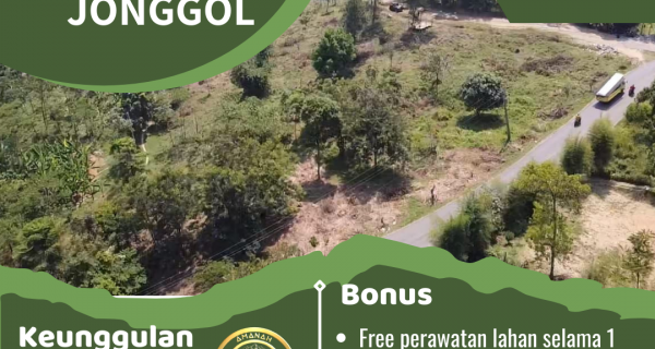 TANAH KAVLING NUANSA ALAM DI PUNCAK 2 BOGOR | VIEW PEGUNUNGAN | DEKAT DESTINASI WISATA | BISA DIBANGUN VILLA DAN RUMAH