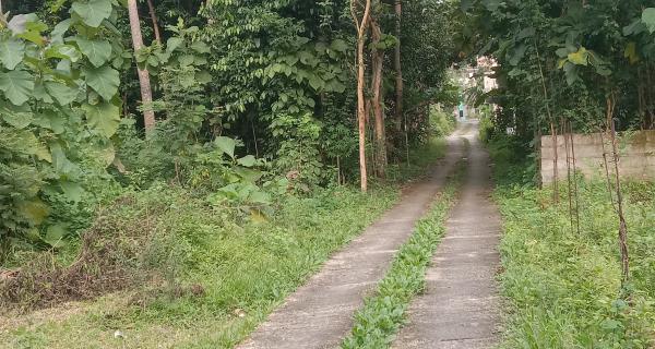 Dijual kavling tanah di sedayu, harga murah cocok untuk inves