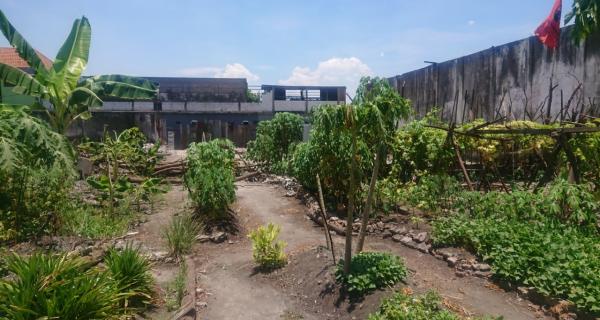 Dijual Lahan 0 jalan raya mastrip Ex Pabrik Beras