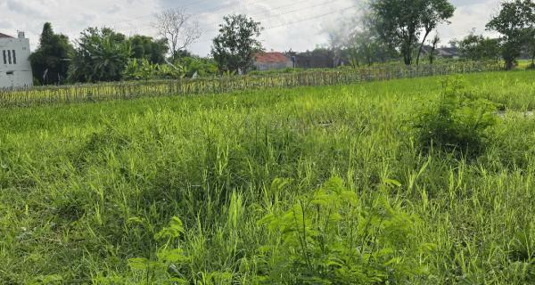 Dijual Tanah Kosong di Jalan Opak Raya, Sleman