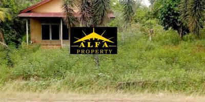 Tanah Ambawang, Pontianak, Kalimantan Barat Tanah Ambawang, Pontianak, Kalimantan Barat