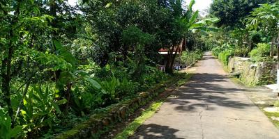 Tanah Idaman Cocok untuk Homestay Karanganyar