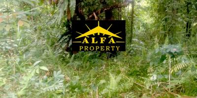 Tanah Gg. Ringin Sari, Pontianak, Kalimantan Barat