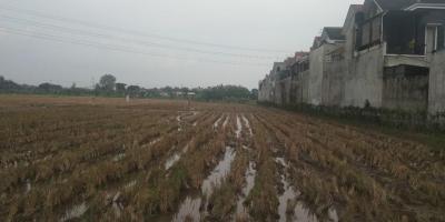 Dijual Tanah Strategis di Desa Langenharjo, Sukoharjo