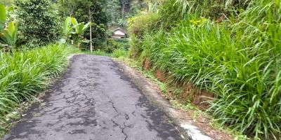 Tanah 90 Juta Udara Dingin Ngargoyoso 