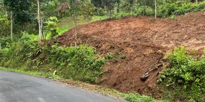 Kebun Alpukat 1200m Jalan DPU Ngargoyoso 