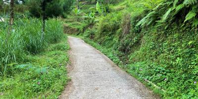 Tanah 350Jt Dekat Wisata Jembatan Kaca Kemuning 