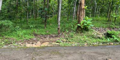 Tanah Datar 2293m² 300 Juta Karanganyar Tanah Datar 2293m² 300 Juta Karanganyar