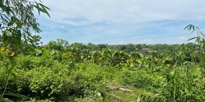 Tanah Murah 970m² Hanya 75 Juta Sragen 