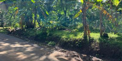 Tanah Datar 400m Utara Kantor Kecamatan Kerjo Tanah Datar 400m Utara Kantor Kecamatan Kerjo