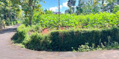 Tanah Strategis 794m Utara Pasar Mojogedang Karanganyar 